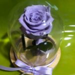 FOREVER ROSE “PURPLE-LILAC”