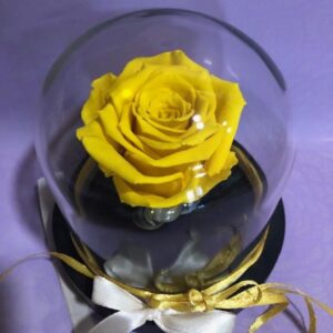 FOREVER ROSE “YELLOW”