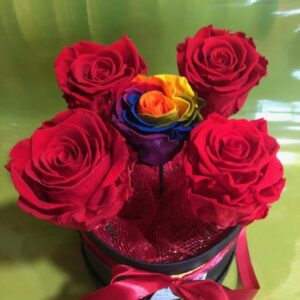 FOREVER ROSE IN BOX “RED & RAINBOW”